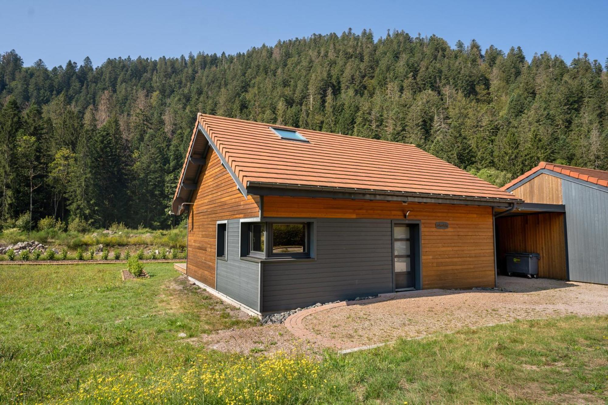 Chalet Nemesia Avec Spa A Gérardmer Exterior photo